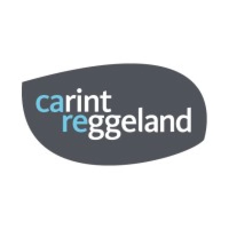 Carintreggeland – Samen vooruit in Thuisbegeleiding